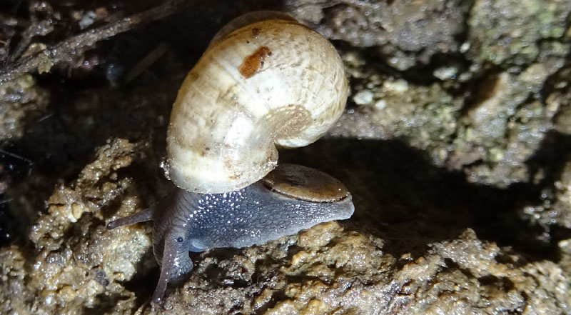 un giretto sotto l''acqua......